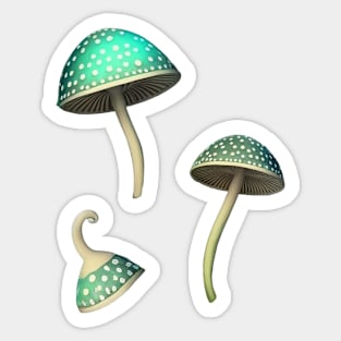 Green Shrooms Mushroom Set Sticker